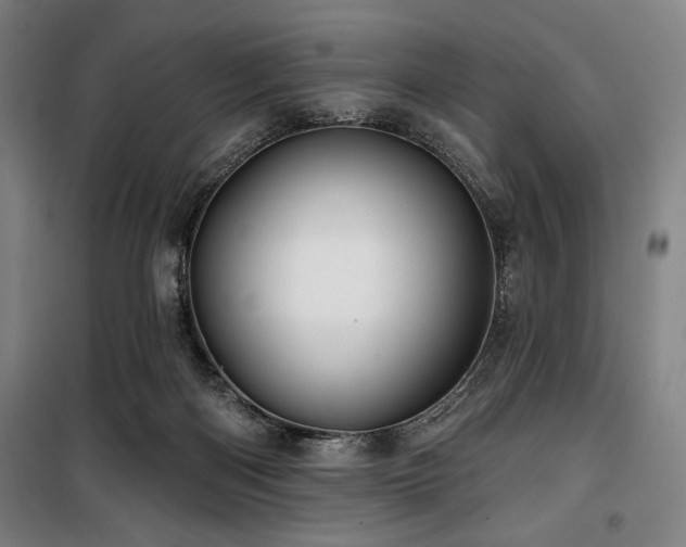 X0000100330122200806051543