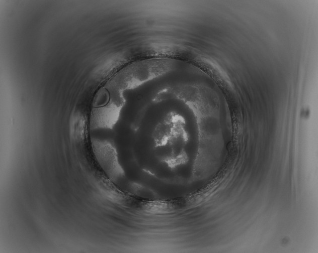 X0000100330123200806051543