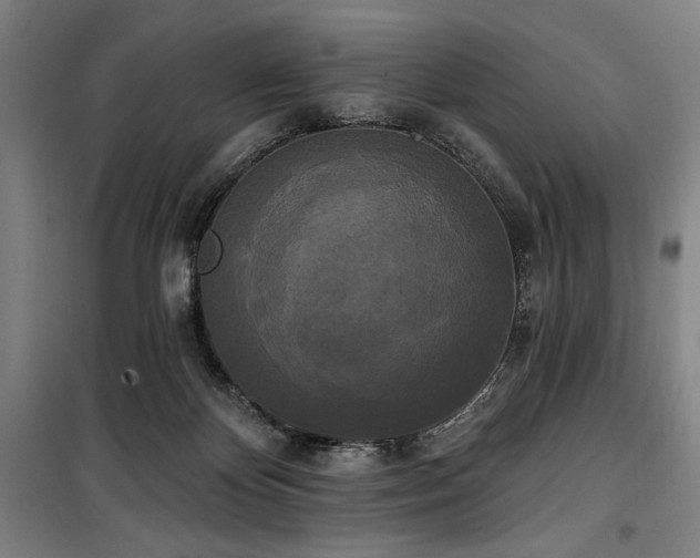 X0000100330124200806051543