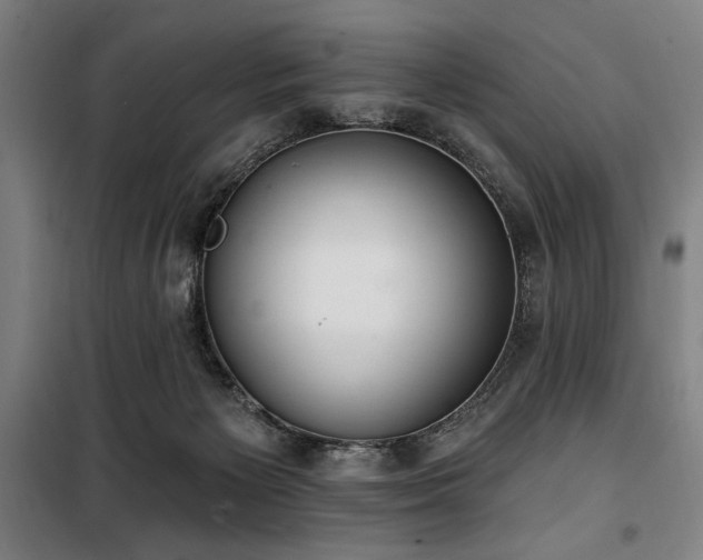 X0000100330125200806051543