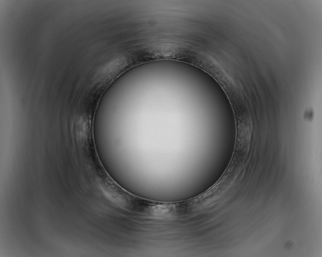 X0000100330126200806051543