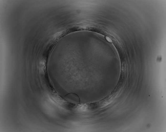 X0000100330127200806051543