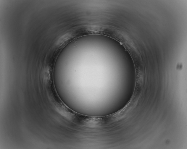 X0000100330128200806051543