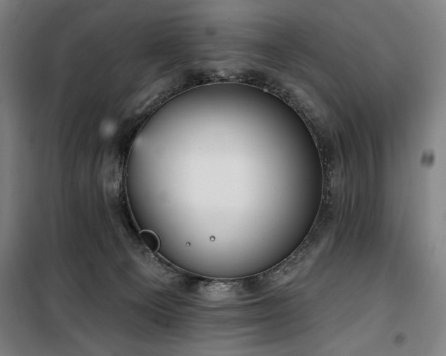 X0000100330129200806051543