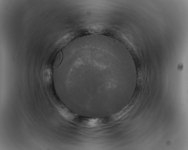 X0000100330130200806051543