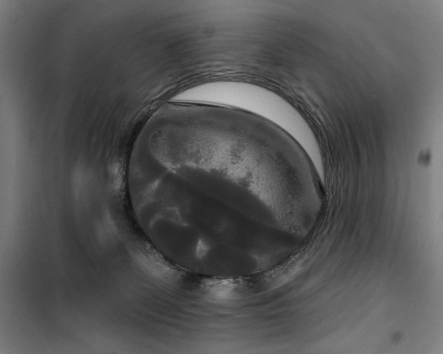 X0000100330131200806051543