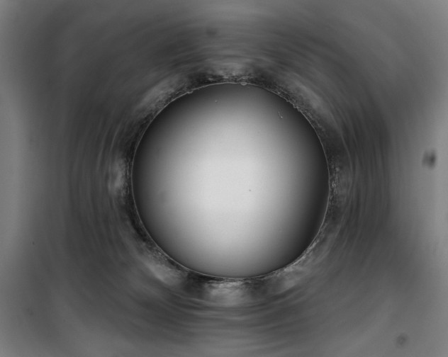 X0000100330132200806051543