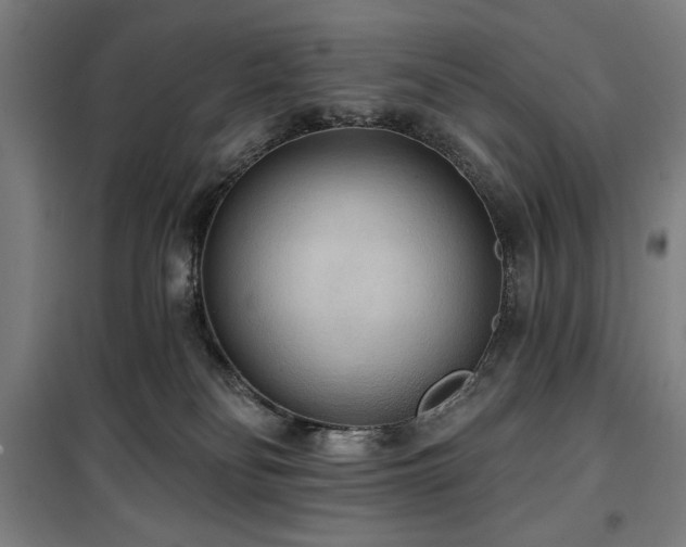 X0000100330134200806051543