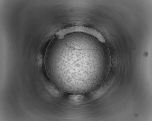 X0000100330135200806051543