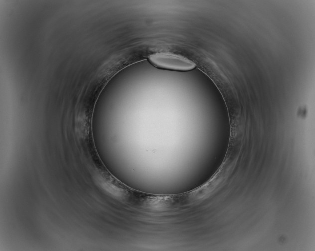 X0000100330136200806051543