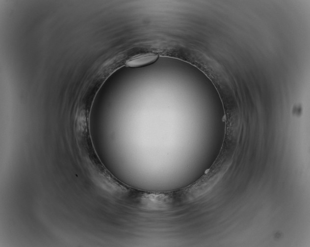 X0000100330137200806051543