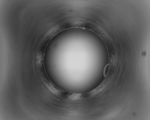 X0000100330138200806051543