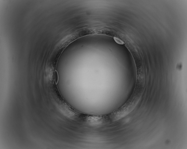 X0000100330139200806051543