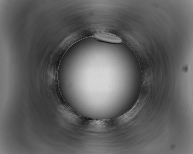 X0000100330140200806051543