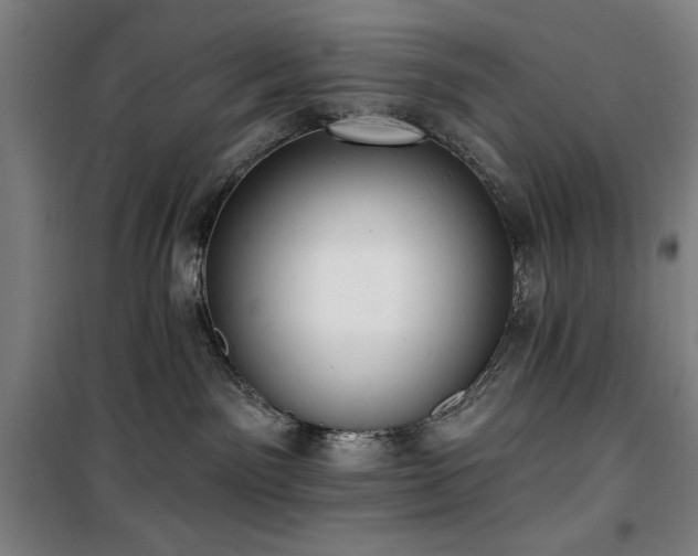 X0000100330141200806051543