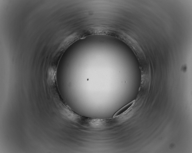 X0000100330142200806051543