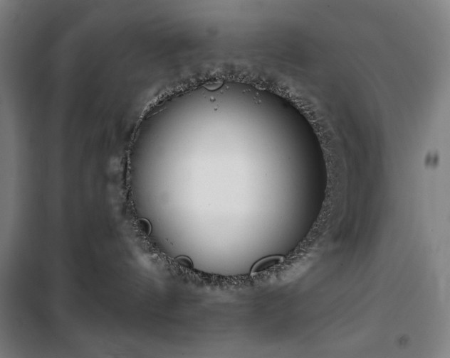 X0000100330144200806051543