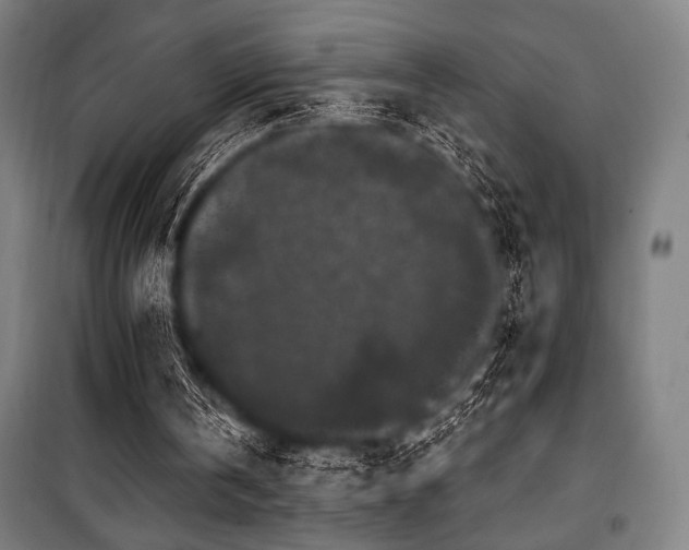 X0000100330146200806051542