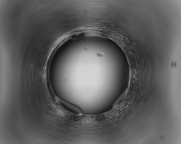 X0000100330148200806051542