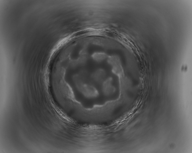 X0000100330149200806051542