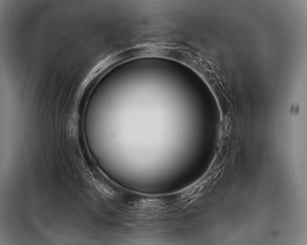 X0000100330150200806051542