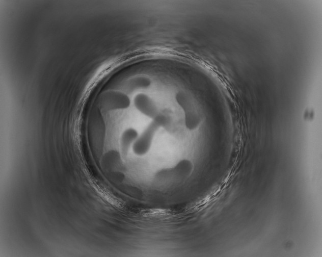 X0000100330151200806051542