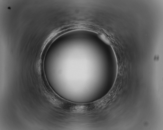 X0000100330152200806051542