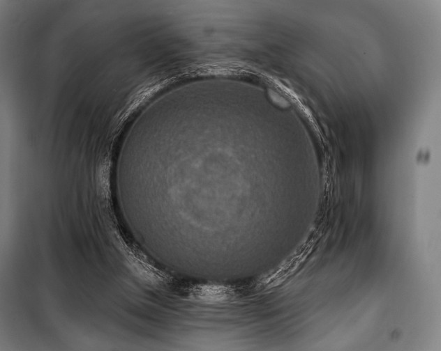 X0000100330154200806051542