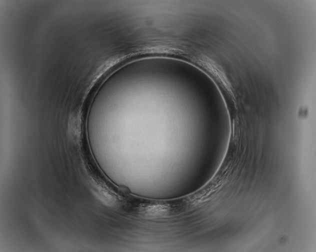 X0000100330156200806051542