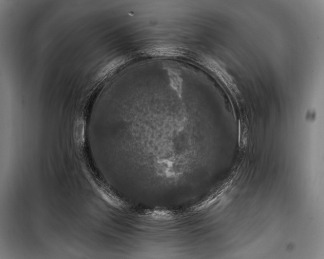 X0000100330157200806051542