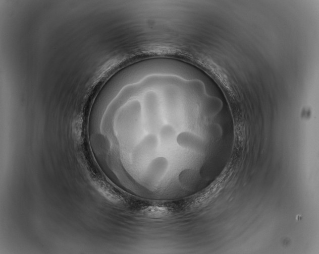 X0000100330159200806051542