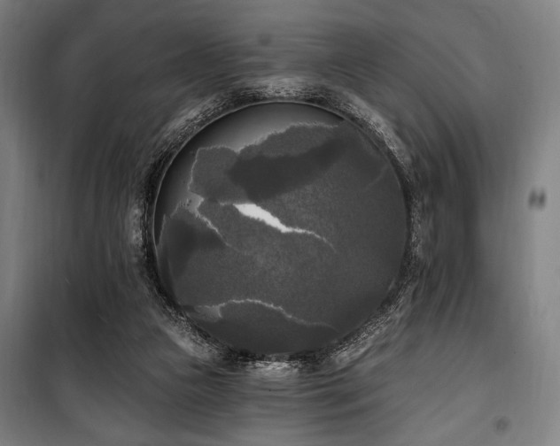 X0000100330161200806051542