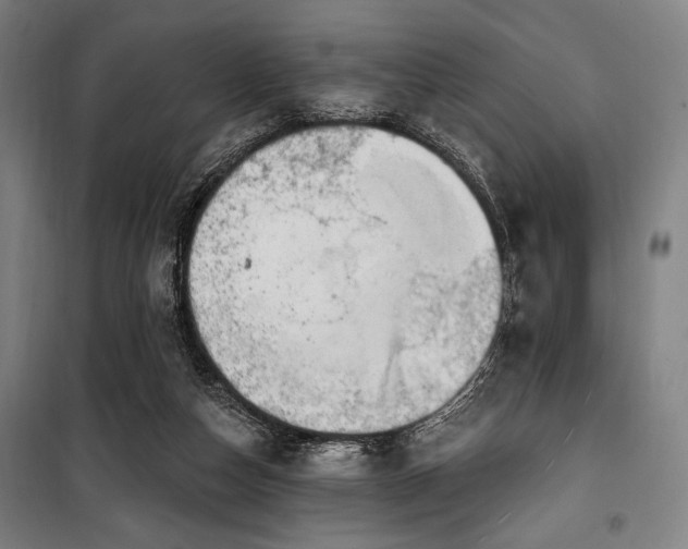 X0000100330162200806051542