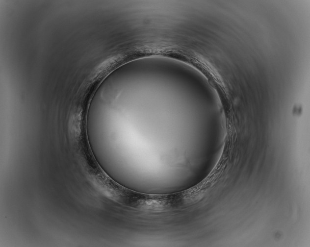 X0000100330163200806051542