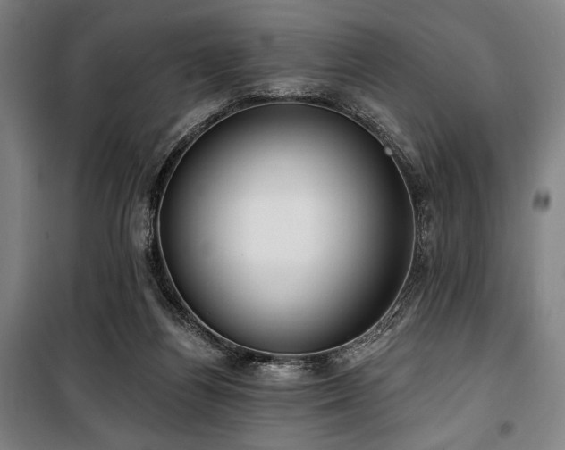 X0000100330164200806051542