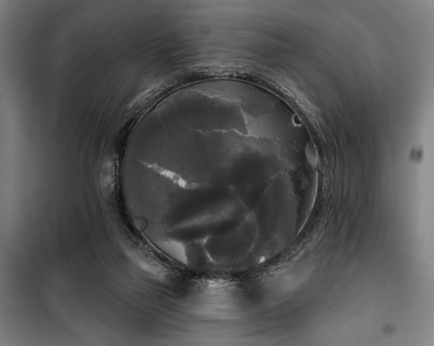 X0000100330165200806051542