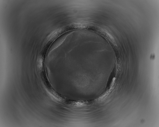 X0000100330166200806051542