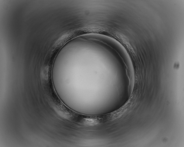 X0000100330167200806051542