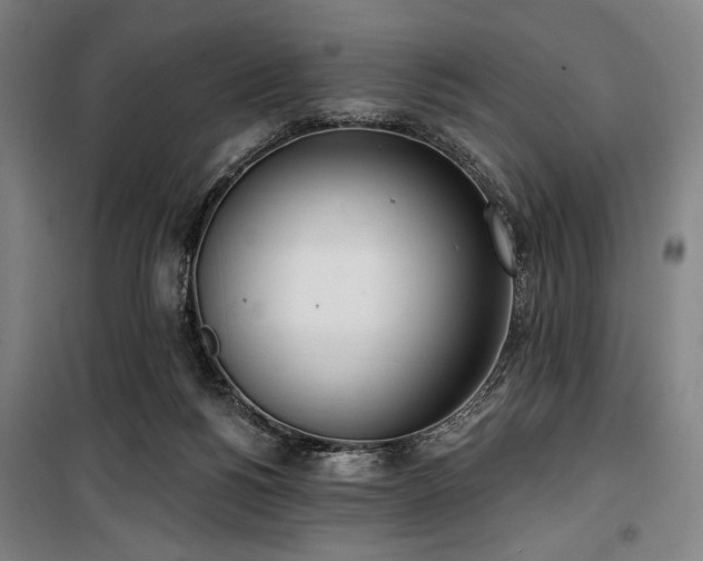 X0000100330168200806051542