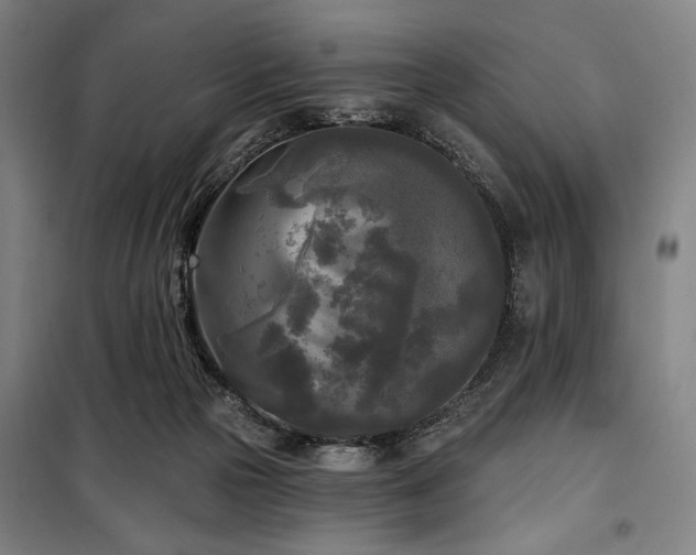 X0000100330169200806051542