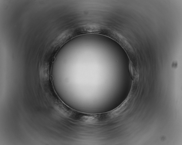 X0000100330170200806051542