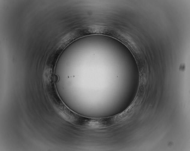 X0000100330171200806051542