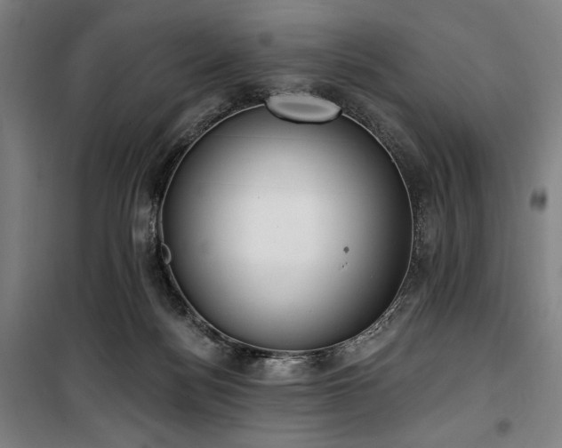 X0000100330172200806051542