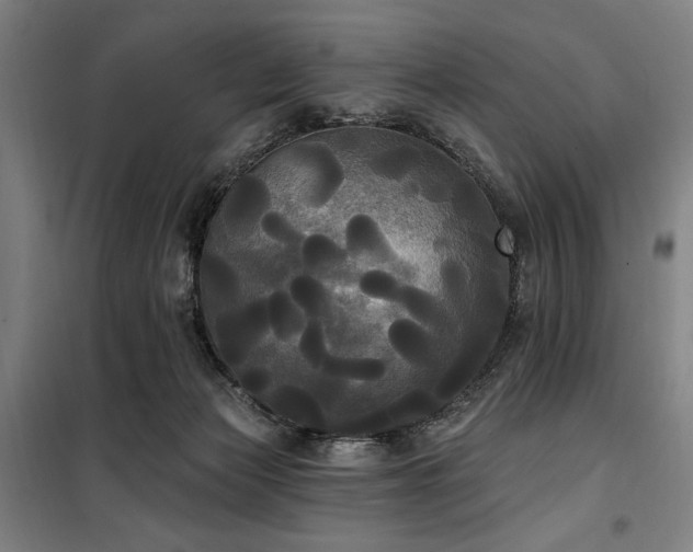 X0000100330173200806051542