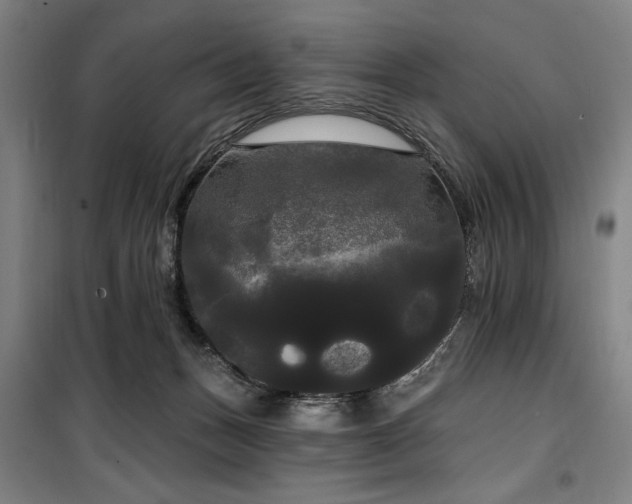 X0000100330175200806051542