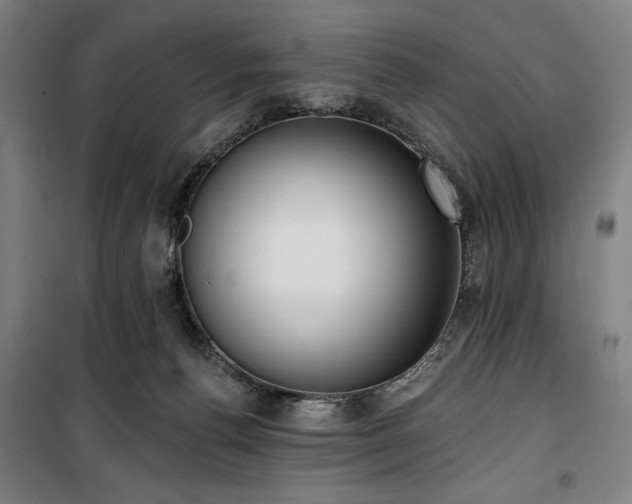 X0000100330176200806051542