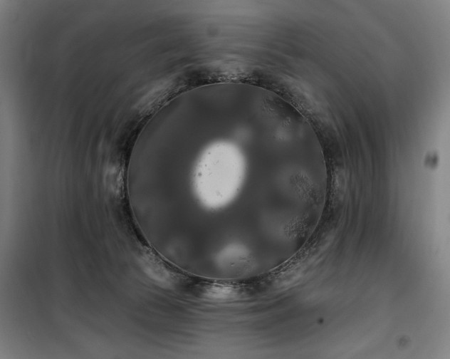 X0000100330177200806051542