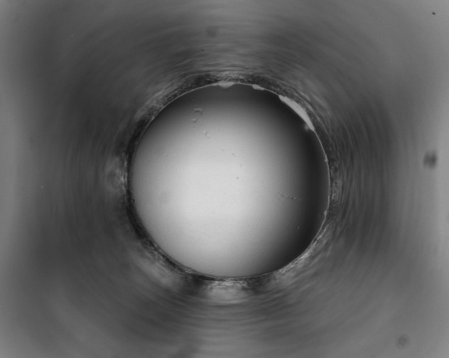 X0000100330179200806051542