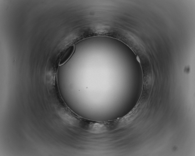 X0000100330180200806051543