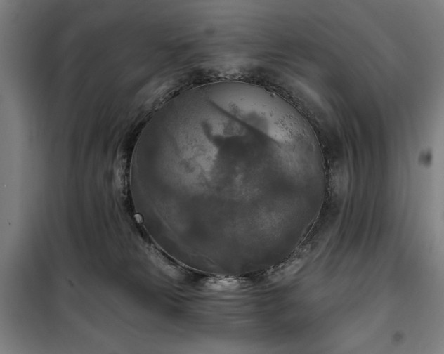 X0000100330181200806051543